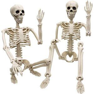 2 Pack 36"Halloween Skeleton - 3 ft Life Size Human Skeleton with Posable Joints